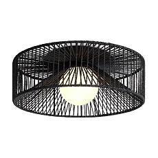 Потолочный светильник Freya Cottage FR5405CL-01B 3