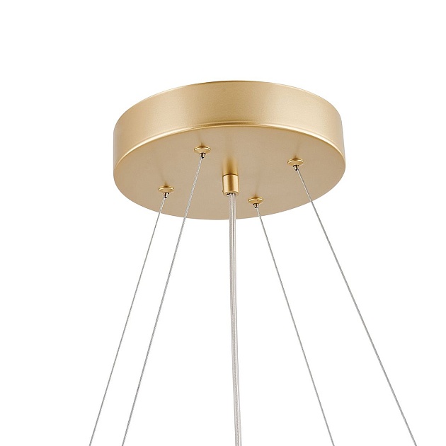 Подвесной светодиодный светильник Favourite Asterismo 4448-8P Фото № 3