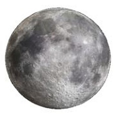 Накладной светильник LEEK LE061201-146