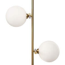 Подвесная люстра Freya Blossom FR5259PL-02BS 3