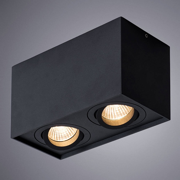 Потолочный светильник Arte Lamp Factor A5544PL-2BK изображение 3 Потолочный светильник Arte Lamp Factor A5544PL-2BK Фото № 3