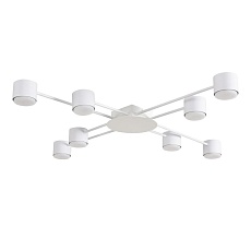 Светильник потолочный Lumion BENUA 8305/8C