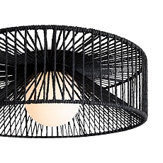 Потолочный светильник Freya Cottage FR5405CL-01B 1