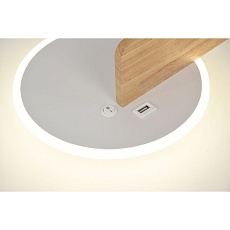 Настенный светодиодный светильник Rivoli Anastasia 6154-401 Б0066439 2