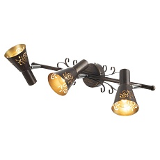 Спот Citilux Дункан CL529531 4