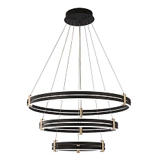 Подвесная светодиодная люстра Zortes DUBLE-R ZRS.30515.228