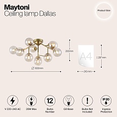 Потолочная люстра Maytoni Dallas MOD545PL-12G 1
