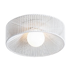 Потолочный светильник Freya Cottage FR5405CL-01W 3