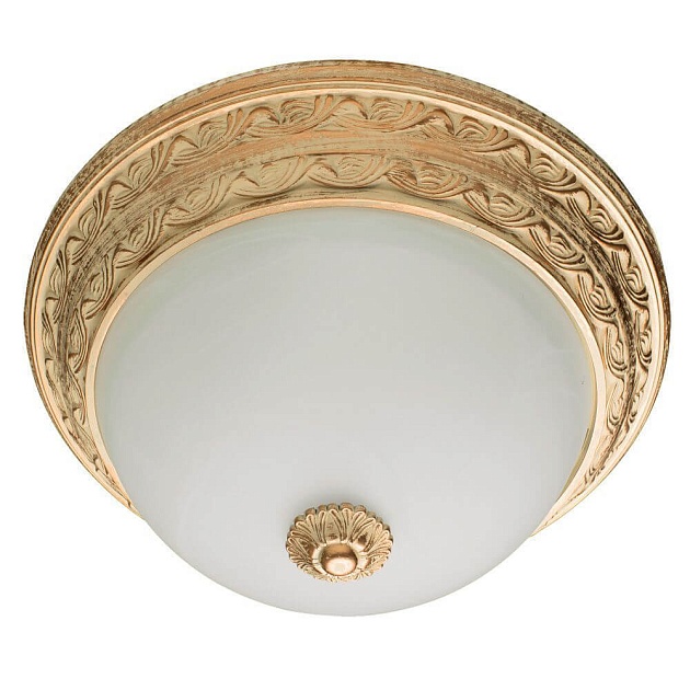 Потолочный светильник Arte Lamp Piatti A8014PL-2WA Фото № 1