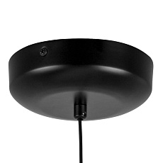 Люстра подвесная Lightstar Genova 610046 3