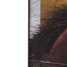 Картина Lumina Deco FP Horse 50-70 3