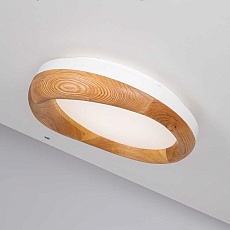 Потолочный светодиодный светильник Imperium Loft Runis 140974-26 3