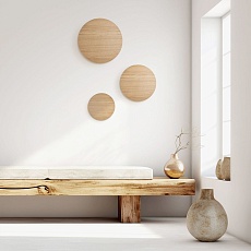 Настенный светильник TK Lighting 10098 Luna 2