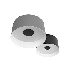 Потолочный светодиодный светильник Loft IT Duo 10360/2 4