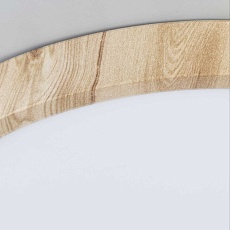 Светильник накладной Citilux Бейсик CL738182V 5