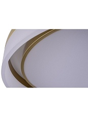 Потолочный светодиодный светильник Zortes Adel ZRS.1200.01 3