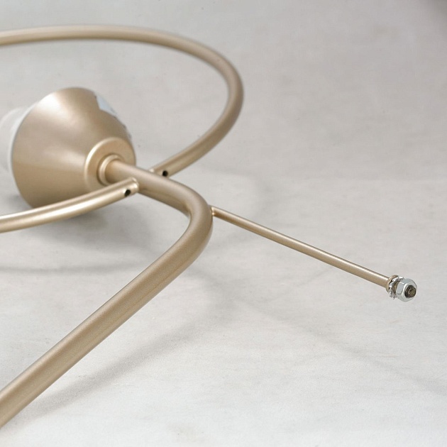 Потолочная люстра Lussole Lgo Montana LSP-8369 изображение 5 Потолочная люстра Lussole Lgo Montana LSP-8369 Фото № 5