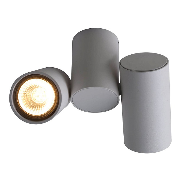 Потолочный светильник Divinare Gavroche 1354/03 PL-2 Фото № 1