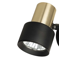 Спот поворотный Citilux SAT CL505611 3