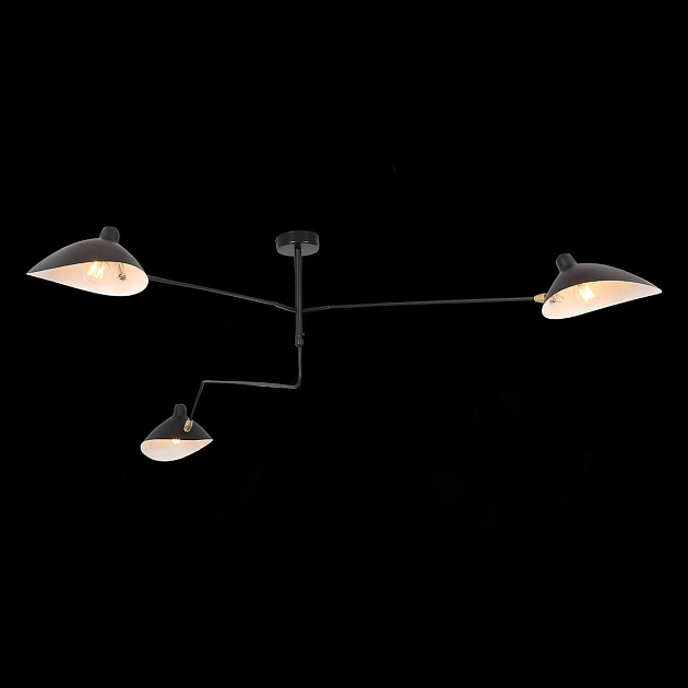Потолочная люстра ST Luce Spruzzo SL305.402.03 изображение 2 Потолочная люстра ST Luce Spruzzo SL305.402.03 Фото № 2