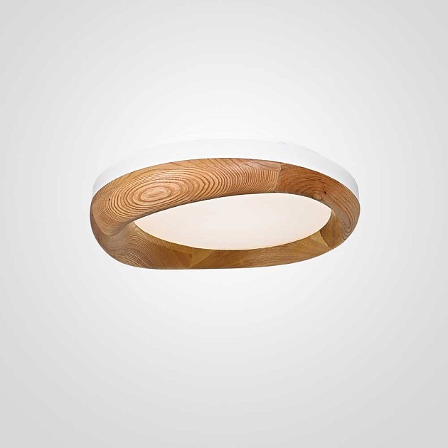 Потолочный светодиодный светильник Imperium Loft Runis 140974-26 Фото № 1