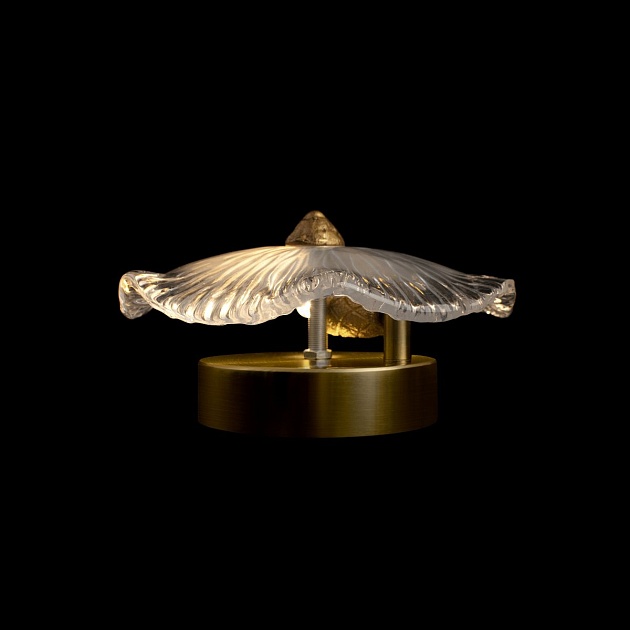 Настенный светильник Loft IT Bloom 10352W/A AB Фото № 2