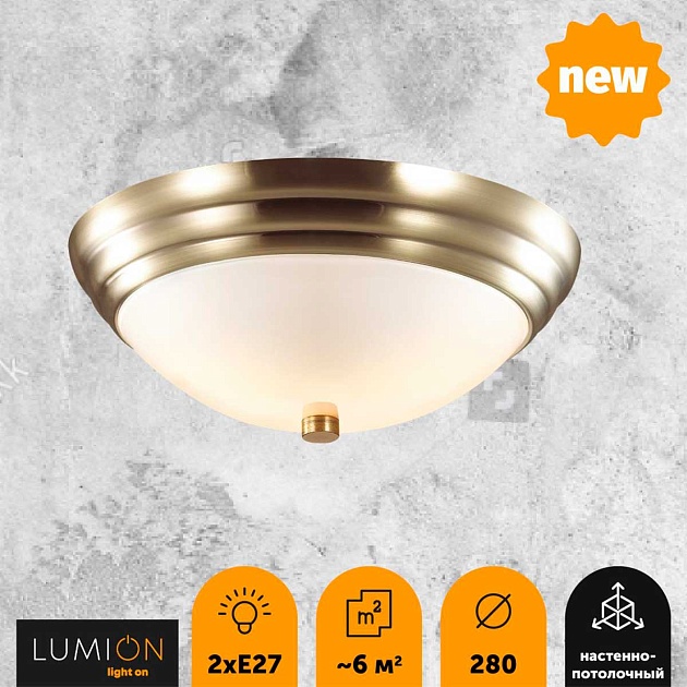 Настенно-потолочный светильник Lumion Vintage Kayla 5262/2C Фото № 3