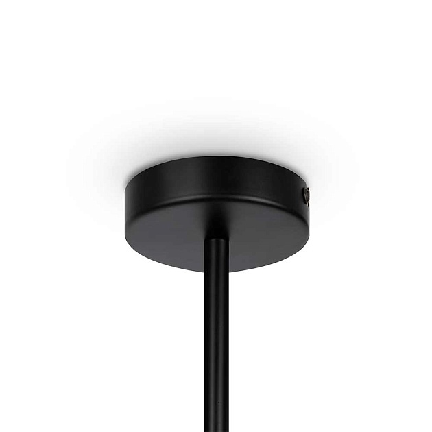 Подвесная люстра Maytoni Memory MOD177PL-04B изображение 2 Подвесная люстра Maytoni Memory MOD177PL-04B Фото № 2