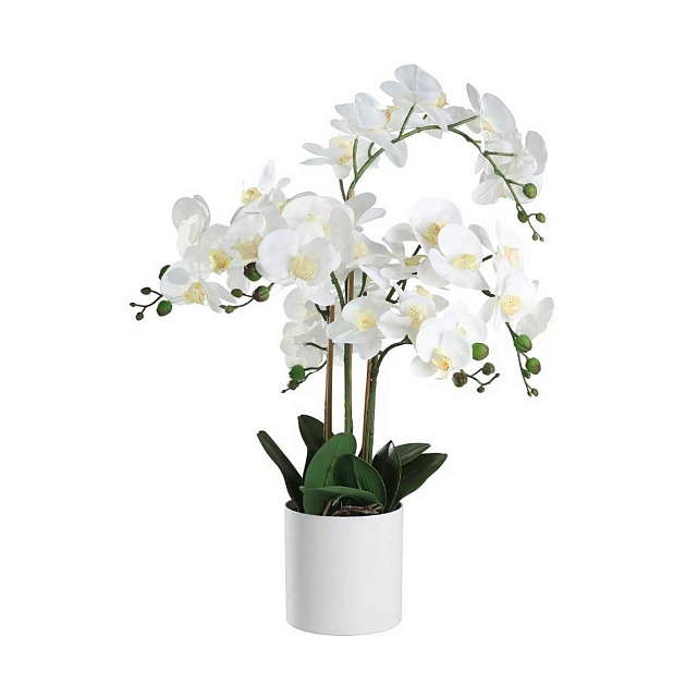 Искусственное растение Eglo HYUGA 428024 изображение 1 Искусственное растение Eglo HYUGA 428024 Фото № 1