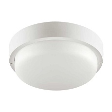 Накладной светодиодный светильник WOLTA LCL04-8W-R11-4K-SOA