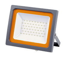 Прожектор светодиодный Jazzway PFL-SC 30W 6500K 5001404 1