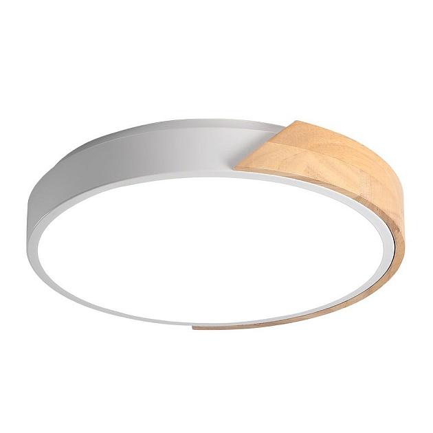 Потолочный светодиодный светильник Jazzway PPB Sсandic-R 5036932 изображение 1 Потолочный светодиодный светильник Jazzway PPB Sсandic-R 5036932 Фото № 1