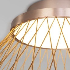 Потолочный светодиодный светильник Eurosvet Cesta 40019/1 LED коричневый 2