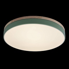 Потолочный светодиодный светильник Loft IT Axel 10001/36 green 2