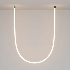 Крепление потолочное Maytoni (2 шт) LNM-D25-2CS-B 20320 1