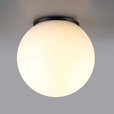 Потолочный светильник Odeon Light NATURE 7124/1C 1