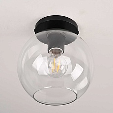 Потолочный светильник Imperium Loft RH Utilitaire Globe Shade Flushmount 123673-22 4