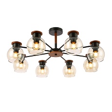 Потолочная люстра Evoluce Rasco SLE108102-08 3