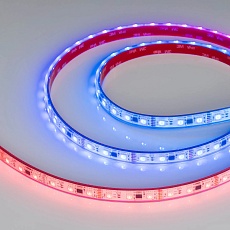 Светодиодная лента герметичная Arlight 14W/m 60LED/m 5060SMD разноцветный 5М DMX-PS-B60-12mm 12V 039605 2