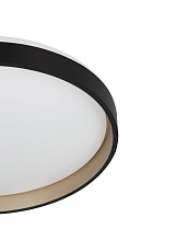 Светильник потолочный Citilux ENZO CL753451G 4