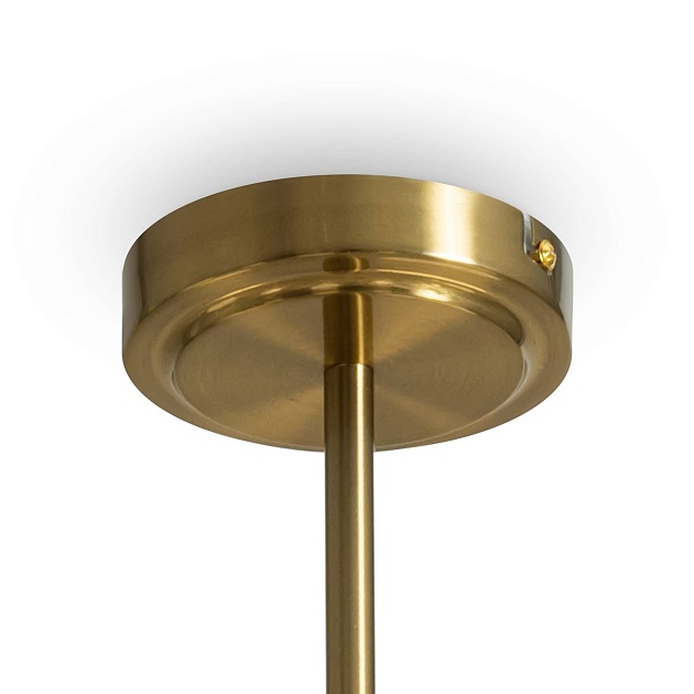 Подвесная люстра Freya Tender FR5373CL-08BS Фото № 6