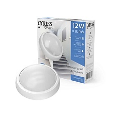 Уличный светодиодный светильник Gauss 141411312 2