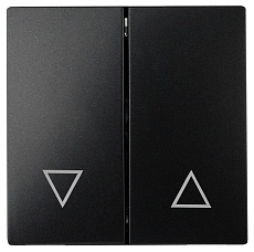 Лицевая панель ЭРА выключателя двухклавишного антрацит 12-6203-05 Б0047854