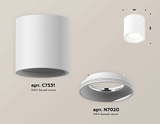 Комплект накладного светильника Ambrella light Techno Spot XS7531010 (C7531, N7020) 1