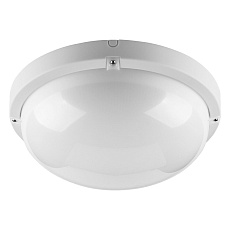 Накладной светодиодный светильник WOLTA ДПП01-18-001-4К