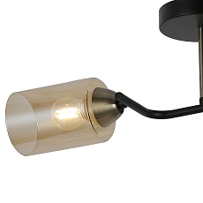 Потолочная люстра Illumico IL8148-2COU-79 BK BR 1