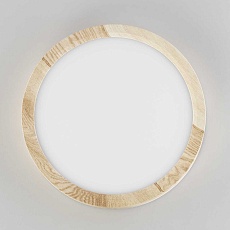 Светильник накладной Citilux Бейсик CL738122N 4