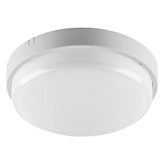 Накладной светодиодный светильник WOLTA ДПП01-12-001-4К