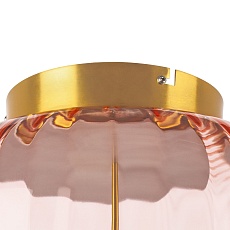 Потолочный светодиодный светильник Lightstar Celesta 809062 1