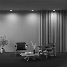 Потолочный светильник Technical C032CL-12W2.7K-RD-MG 3